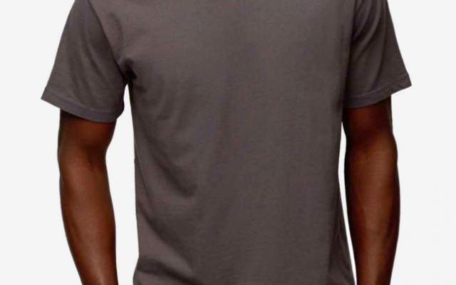 American Giant - T-Shirts - Essential V-Neck T Phantom Grey