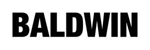 Baldwin Denim Logo Rectangle